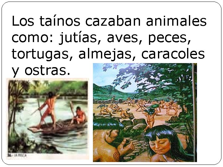 Los taínos cazaban animales como: jutías, aves, peces, tortugas, almejas, caracoles y ostras. 