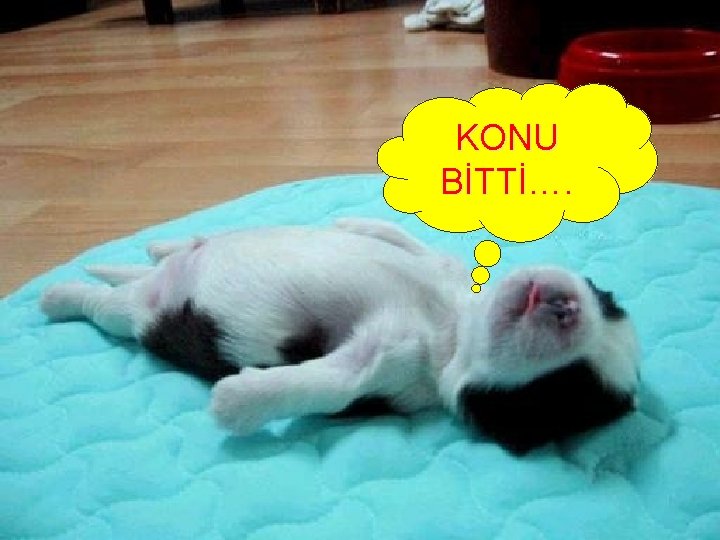 KONU BİTTİ…. 