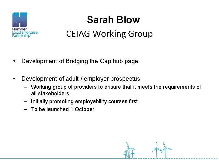 Sarah Blow CEIAG Working Group • Development of Bridging the Gap hub page •