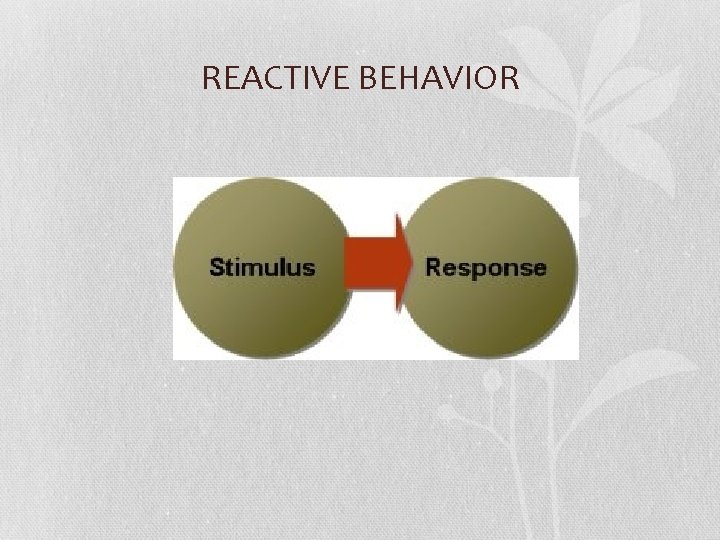 REACTIVE BEHAVIOR 