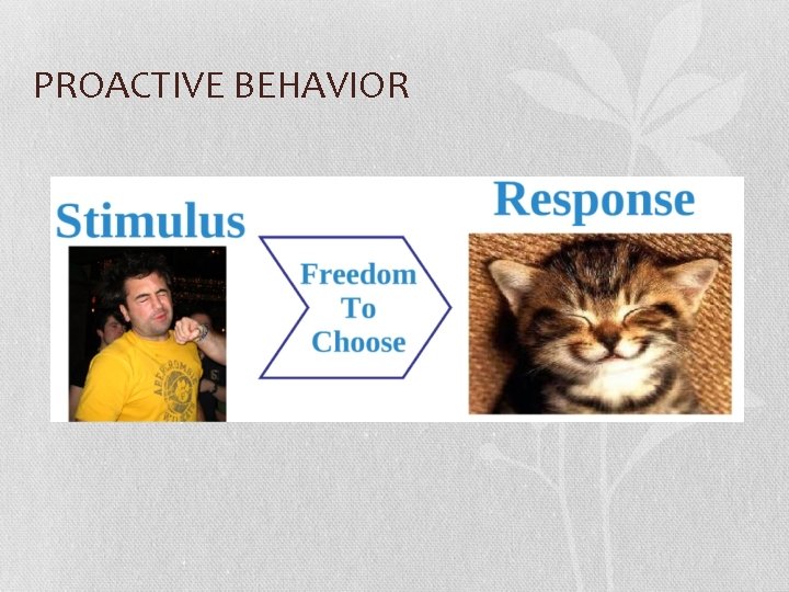 PROACTIVE BEHAVIOR 