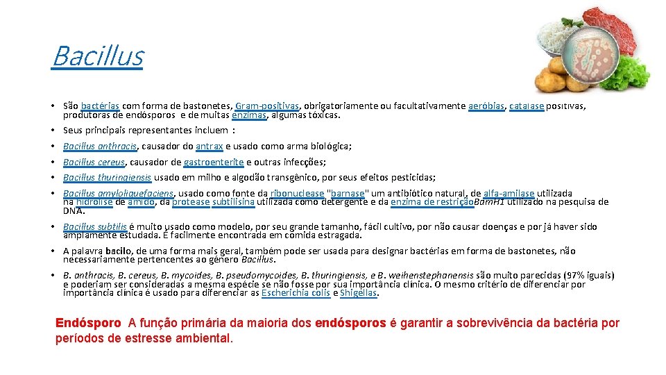 Bacillus • São bactérias com forma de bastonetes, Gram-positivas, obrigatoriamente ou facultativamente aeróbias, catalase