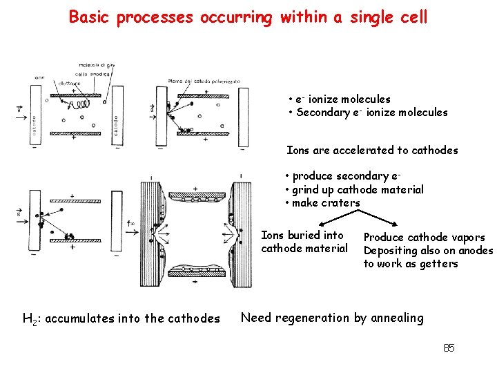 Basic processes occurring within a single cell • e- ionize molecules • Secondary e-