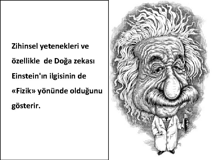 Zihinsel yetenekleri ve özellikle de Doğa zekası Einstein'ın ilgisinin de «Fizik» yönünde olduğunu gösterir.