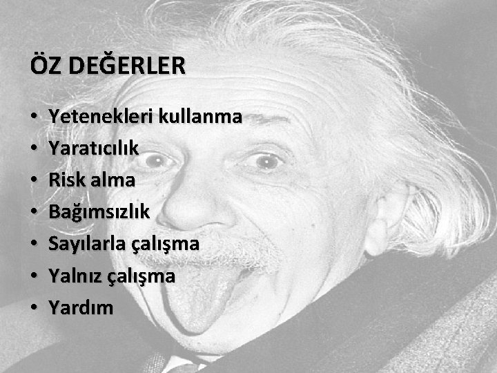 ÖZ DEĞERLER • • Yetenekleri kullanma Yaratıcılık Risk alma Bağımsızlık Sayılarla çalışma Yalnız çalışma