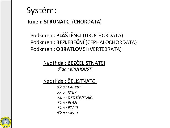 Systém: Kmen: STRUNATCI (CHORDATA) Podkmen : PLÁŠTĚNCI (UROCHORDATA) Podkmen : BEZLEBEČNÍ (CEPHALOCHORDATA) Podkmen :