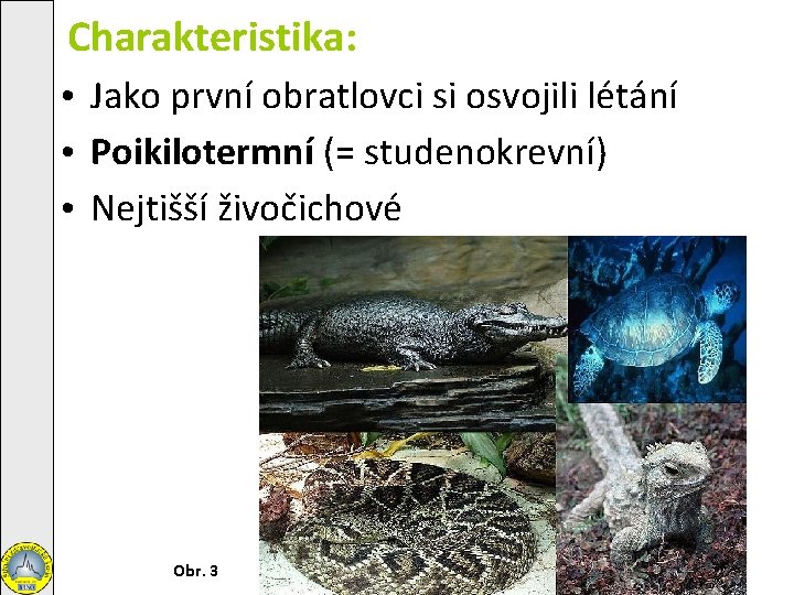 Charakteristika: • Jako první obratlovci si osvojili létání • Poikilotermní (= studenokrevní) • Nejtišší