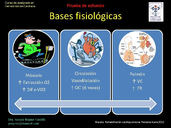 Prueba de esfuerzo Bases fisiológicas Músculo ↑ Extracción O 2 ↑ Dif a-VO 2