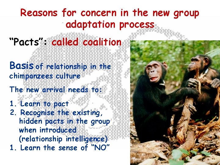 Reasons for concern in the new group adaptation process “Pacts”: called coalition Basis of
