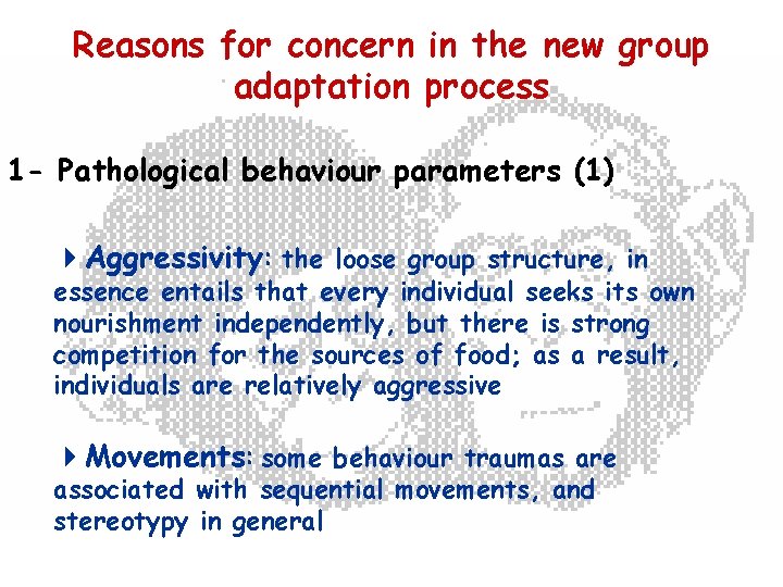 Reasons for concern in the new group adaptation process 1 - Pathological behaviour parameters
