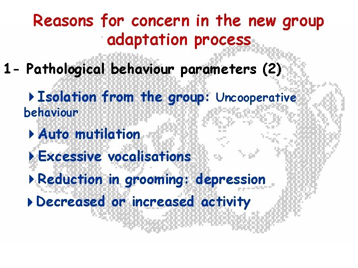Reasons for concern in the new group adaptation process 1 - Pathological behaviour parameters