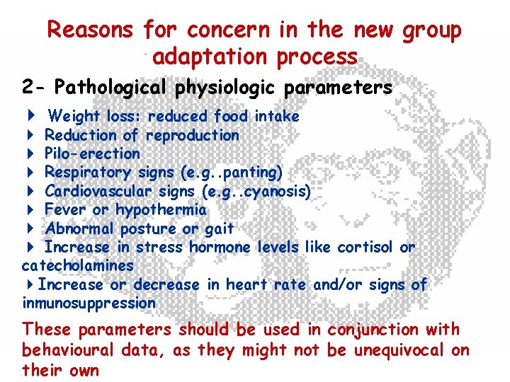 Reasons for concern in the new group adaptation process 2 - Pathological physiologic parameters