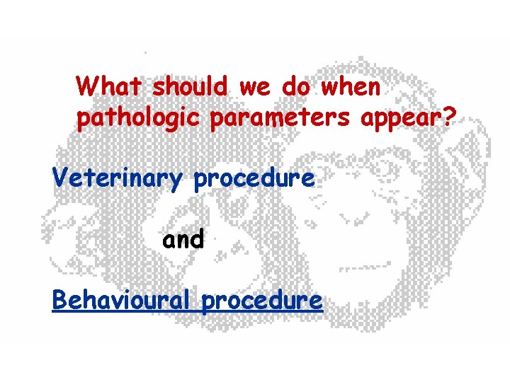 What should we do when pathologic parameters appear? Veterinary procedure and Behavioural procedure 