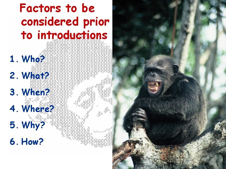 Factors to be considered prior to introductions 1. Who? 2. What? 3. When? 4.