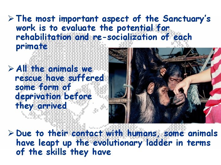 Ø The most important aspect of the Sanctuary’s work is to evaluate the potential