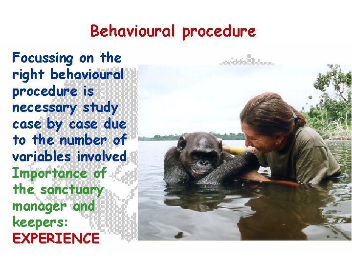 Behavioural procedure Focussing on the right behavioural procedure is necessary study case by case