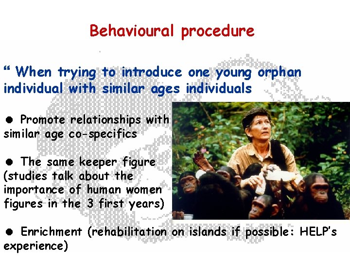 Behavioural procedure } When trying to introduce one young orphan individual with similar ages