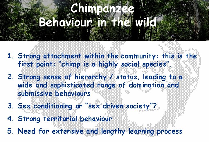 Chimpanzee Behaviour in the wild 1. Strong attachment within the community: this is the