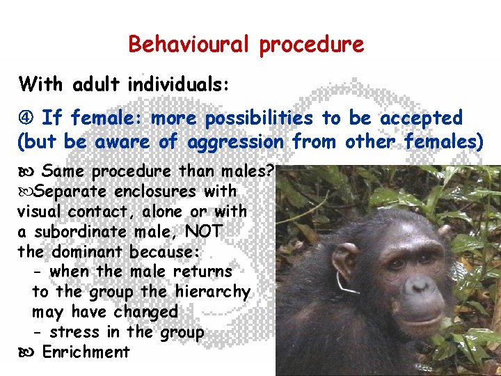 Behavioural procedure With adult individuals: If female: more possibilities to be accepted (but be