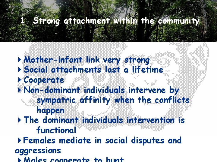 1. Strong attachment within the community Mother-infant link very strong Social attachments last a
