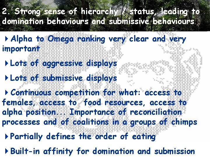 2. Strong sense of hierarchy / status, leading to domination behaviours and submissive behaviours