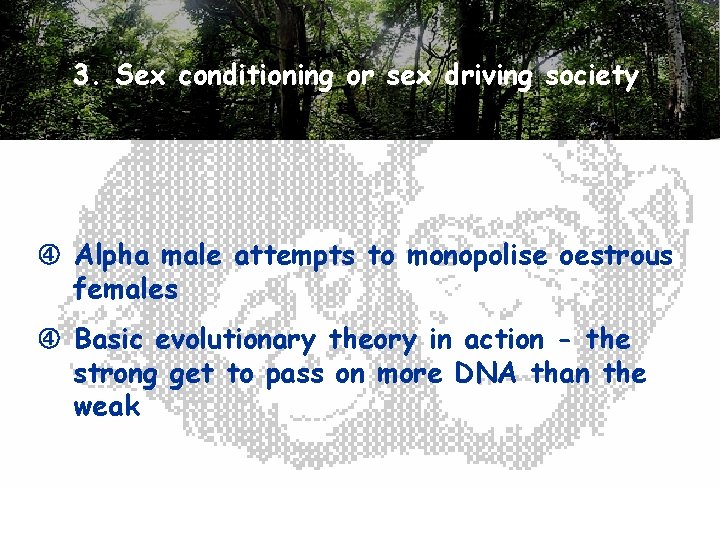 3. Sex conditioning or sex driving society Alpha male attempts to monopolise oestrous females