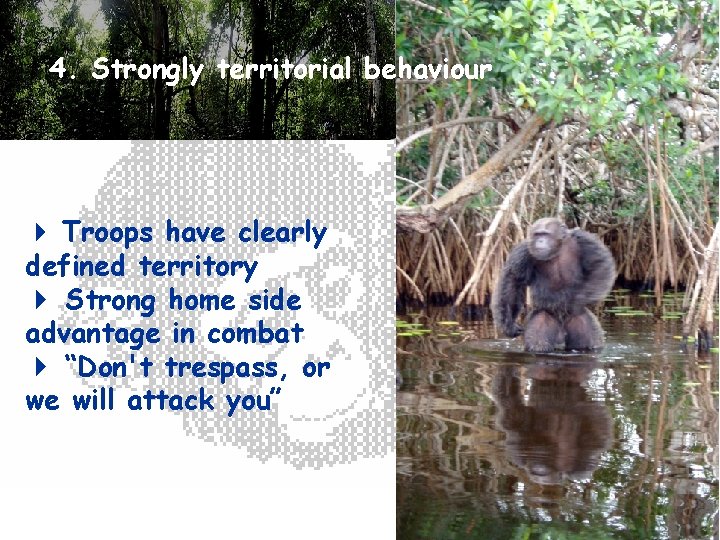 4. Strongly territorial behaviour Troops have clearly defined territory Strong home side advantage in