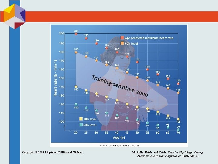 Copyright © 2007 Lippincott Williams & Wilkins. Mc. Ardle, Katch, and Katch: Exercise Physiology: