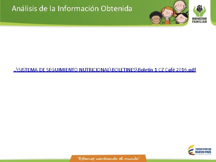 Análisis de la Información Obtenida . . SISTEMA DE SEGUIMIENTO NUTRICIONALBOLETINESBoletín 1 CZ Café