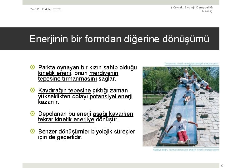 Prof. Dr. Bektaş TEPE (Kaynak: Biyoloji, Campbell & Reece) Enerjinin bir formdan diğerine dönüşümü