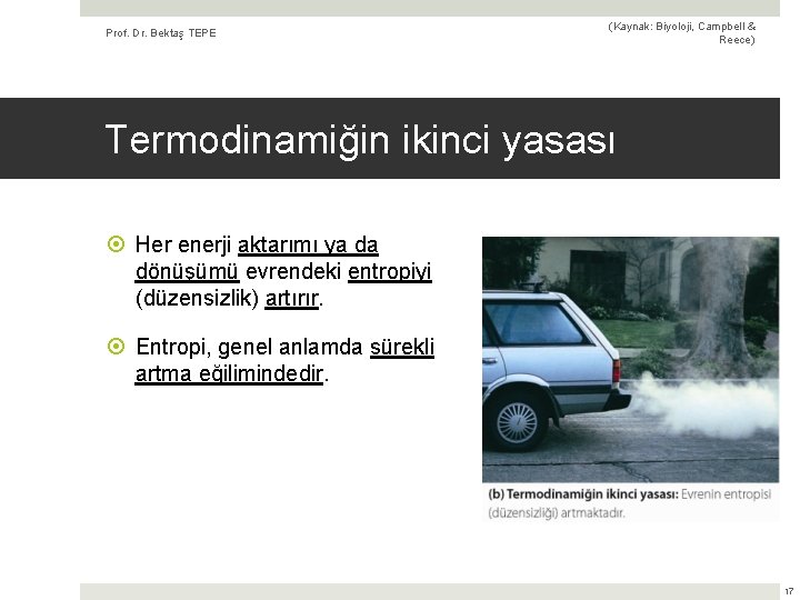 Prof. Dr. Bektaş TEPE (Kaynak: Biyoloji, Campbell & Reece) Termodinamiğin ikinci yasası Her enerji