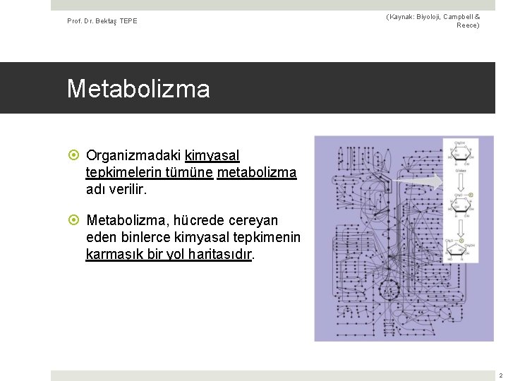 Prof. Dr. Bektaş TEPE (Kaynak: Biyoloji, Campbell & Reece) Metabolizma Organizmadaki kimyasal tepkimelerin tümüne