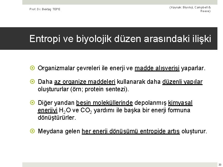 Prof. Dr. Bektaş TEPE (Kaynak: Biyoloji, Campbell & Reece) Entropi ve biyolojik düzen arasındaki