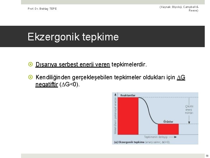 Prof. Dr. Bektaş TEPE (Kaynak: Biyoloji, Campbell & Reece) Ekzergonik tepkime Dışarıya serbest enerji