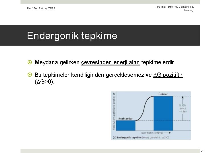 Prof. Dr. Bektaş TEPE (Kaynak: Biyoloji, Campbell & Reece) Endergonik tepkime Meydana gelirken çevresinden
