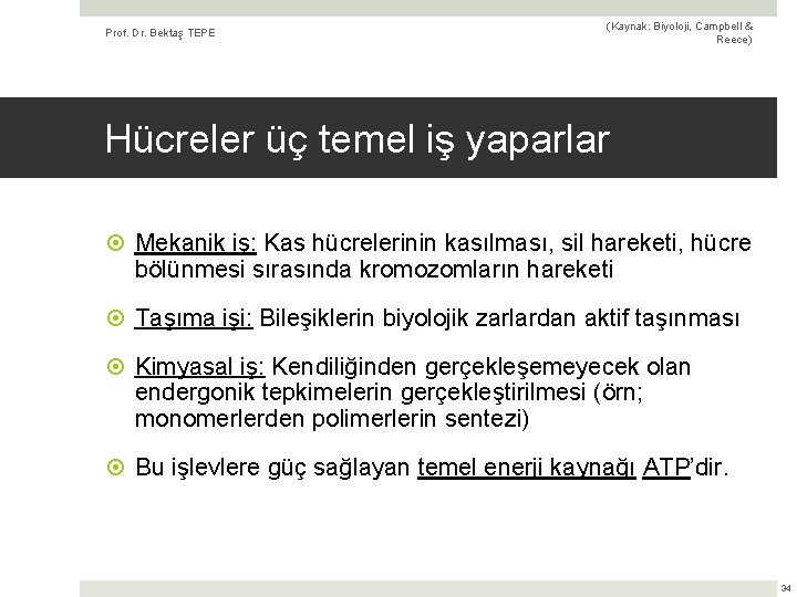 Prof. Dr. Bektaş TEPE (Kaynak: Biyoloji, Campbell & Reece) Hücreler üç temel iş yaparlar