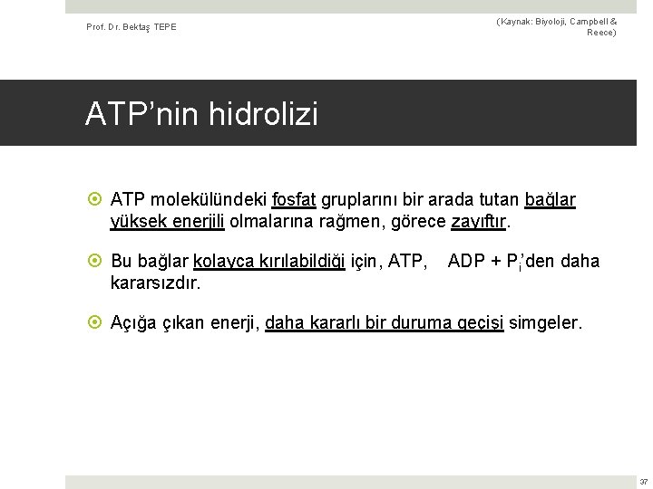 Prof. Dr. Bektaş TEPE (Kaynak: Biyoloji, Campbell & Reece) ATP’nin hidrolizi ATP molekülündeki fosfat