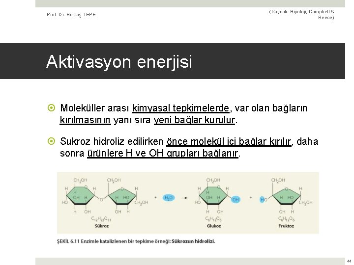 Prof. Dr. Bektaş TEPE (Kaynak: Biyoloji, Campbell & Reece) Aktivasyon enerjisi Moleküller arası kimyasal