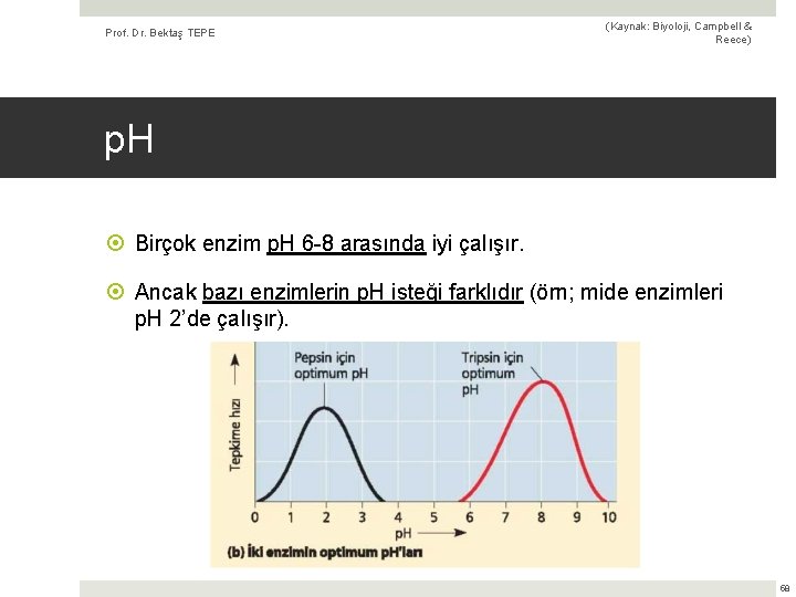 Prof. Dr. Bektaş TEPE (Kaynak: Biyoloji, Campbell & Reece) p. H Birçok enzim p.