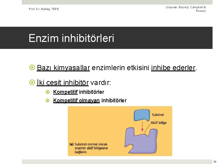 Prof. Dr. Bektaş TEPE (Kaynak: Biyoloji, Campbell & Reece) Enzim inhibitörleri Bazı kimyasallar enzimlerin