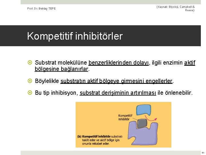 Prof. Dr. Bektaş TEPE (Kaynak: Biyoloji, Campbell & Reece) Kompetitif inhibitörler Substrat molekülüne benzerliklerinden
