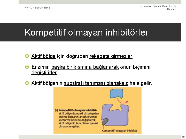 Prof. Dr. Bektaş TEPE (Kaynak: Biyoloji, Campbell & Reece) Kompetitif olmayan inhibitörler Aktif bölge