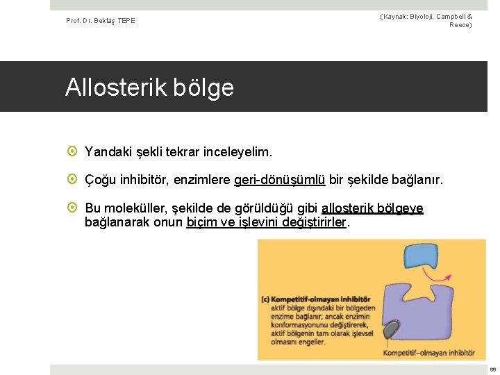 Prof. Dr. Bektaş TEPE (Kaynak: Biyoloji, Campbell & Reece) Allosterik bölge Yandaki şekli tekrar