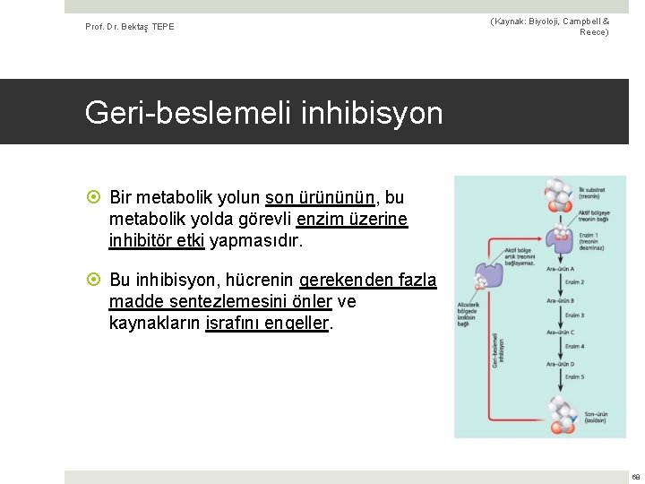 Prof. Dr. Bektaş TEPE (Kaynak: Biyoloji, Campbell & Reece) Geri-beslemeli inhibisyon Bir metabolik yolun