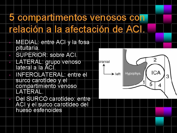 5 compartimentos venosos con relación a la afectación de ACI. • • • MEDIAL: