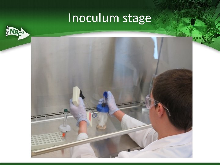 Inoculum stage 