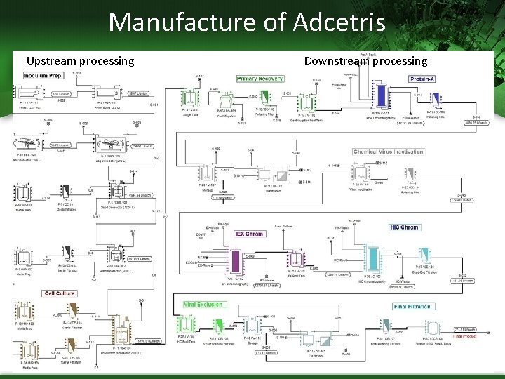 Manufacture of Adcetris Upstream processing Downstream processing 