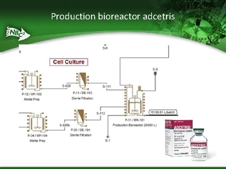 Production bioreactor adcetris 