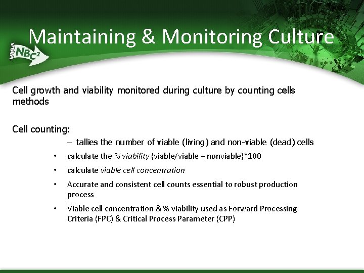 Maintaining & Monitoring Culture Cell growth and viability monitored during culture by counting cells