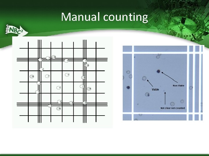 Manual counting 